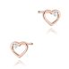 k0079.r3.diw.02_1