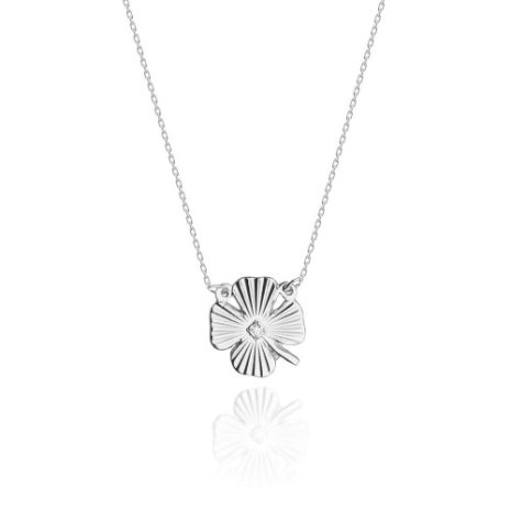 n0021.b3.diw.01_1 n0021.b3.diw.01_1