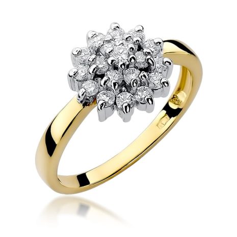 w0004.z3.diw.01_1
