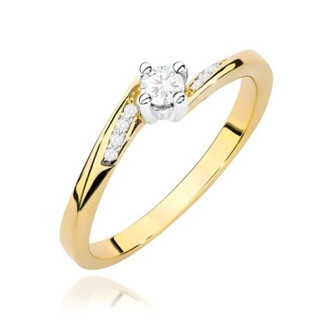 w0262.z3.diw.02_1