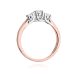 w0344.r3.diw.01_3